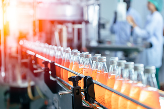 Bottles of soda moving on conveyor belt in beverage factory.